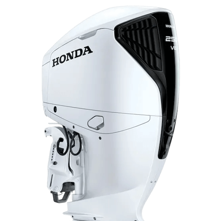 BF250 High Power Outboard