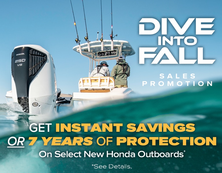 dive-into-fall-landing-banner