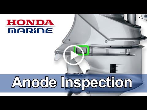 Anode Inspection